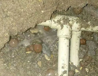 顺城卫生间测漏