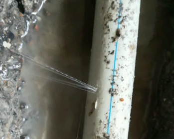 顺城卫生间测漏水多少钱
