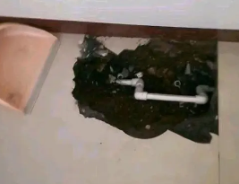 顺城卫生间测漏水多少钱